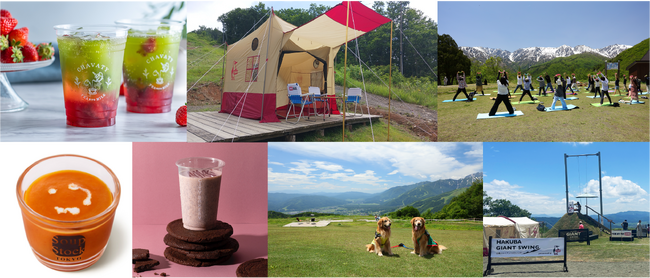 白馬岩岳マウンテンリゾート、お盆休み期間の8月13日～16日の来場者数が過去最高の17,800人、昨対比133％を達成！