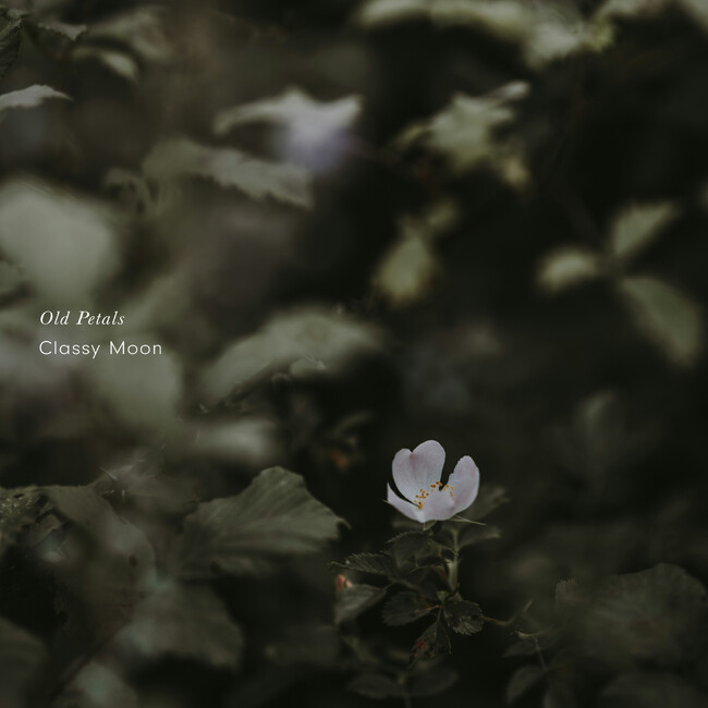 眠れぬ秋の夜に寄り添う癒やし──Classy Moon 新作『Old Petals』美しいピアノが深い睡眠へと導く