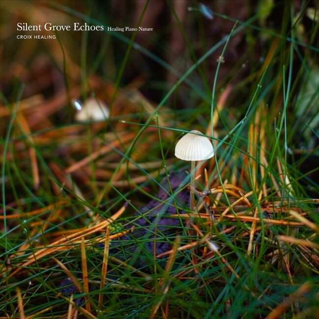 「調和の周波数とされる639Hzソルフェジオと自然音が響く。ヒーリングピアノ作品『Silent Grove Echoes: Healing Piano Nature』6月5日配信開始」