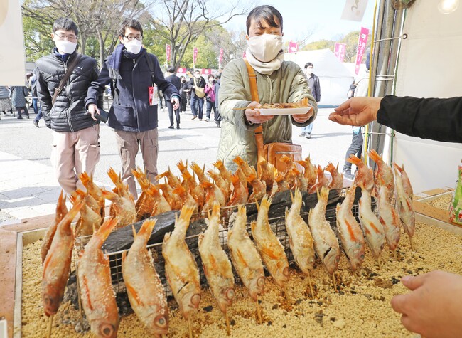 累計来場者270万人 日本最大級の魚介グルメフェスSAKANA&JAPAN FESTIVAL魚ジャパンフェス2026 in 代々木公園