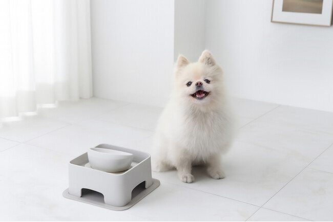 ロングセラー商品「わんテーブル」おしゃれにリニューアル！