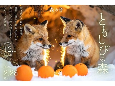 自然の香りを楽しみながらくつろぐ温活。かみのやま温泉 おやど森の音で“温活”がテーマの冬イベント「ともしびの森」を2025年12月1日(月)より開催。