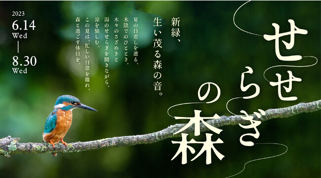 山形の避暑地・おやど森の音で「せせらぎ」をテーマにした夏イベント「せせらぎの森」を 6月14日より開催。のメイン画像