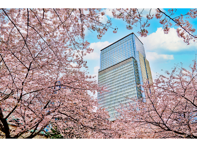 桜が舞う日本橋で楽しむ、マンダリン オリエンタル 東京の春限定体験