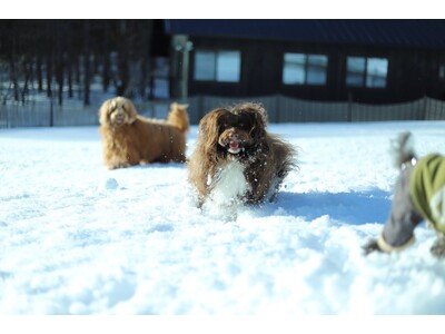 ドッグラン付き！北軽井沢の一棟貸しヴィラリゾート「あさま空山望」　完全貸切の絶景スノーシューツアーなど愛犬と雪遊びを満喫　1日2組限定の冬季プランを12月1日（木）より予約販売スタート