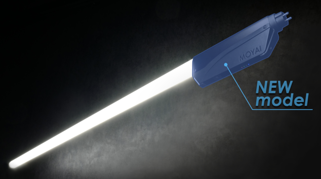 ʋ@ւ̈SSւ̊Sȃ\[V`Ȃǂւ̌ʓIȑ΍i`