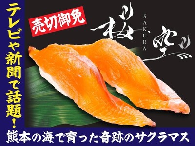【新商品・産地連携】天草・御所浦産サクラマス新ブランド「桜空-SAKURA-」、九州最大級の寿司チェーン...