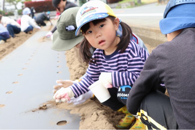 枝豆・トウモロコシの種まきで食育に 伊勢崎市「みんなの畑」で農業体験 4月25日(土)〔群馬〕