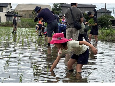 田植えから稲刈りまで家族で体験　さいたま市岩槻区で生産者に教わる米作り5月30日（土）〔埼玉〕