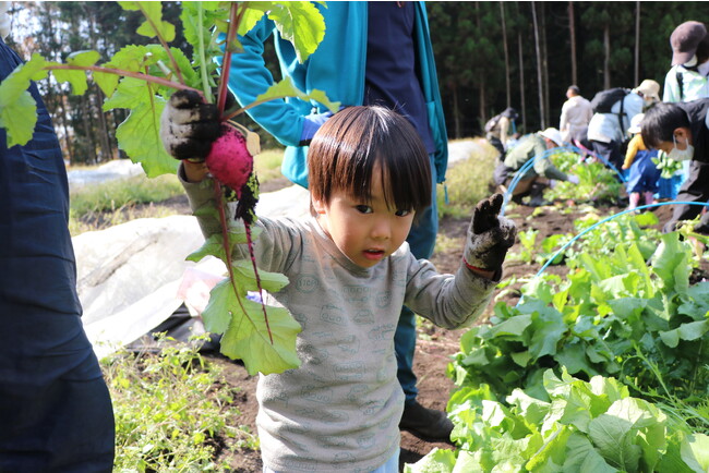 親子で触れる野菜の育ち　太陽をたっぷり浴びたミニトマト収穫など　9月9日(土)〔群馬〕