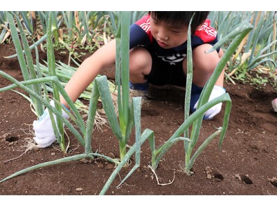 伊勢崎市「みんなの畑」で農業体験　6月1日（土）〔群馬〕