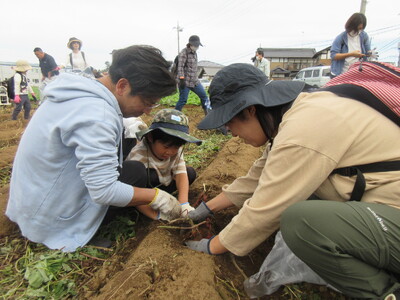実りの秋 つくば市でさつまいもと原木しいたけの収穫体験 10月12日(土)〔茨城 栃木〕