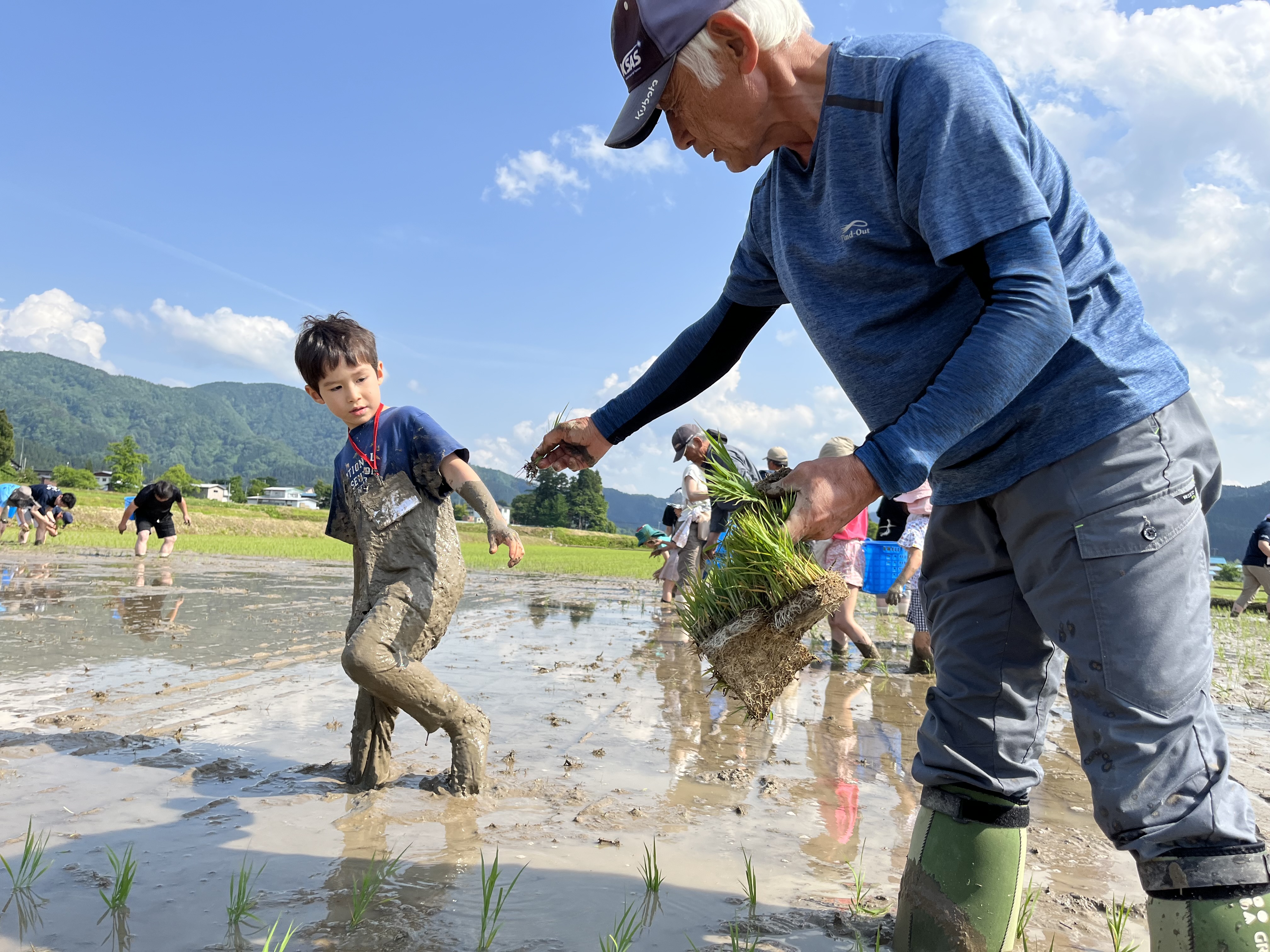 新緑の秋田で田植えや山菜摘み　生産者との協同で知る産地の魅力　5月24日（土）25日（日）〔東京・千葉〕