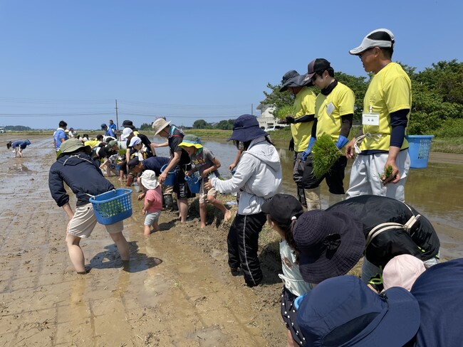 上越伝統自然薯そばや地酒を堪能　生産者と協同し田植えやそば打ち　5月31日（土）6月1日（日）〔東京〕