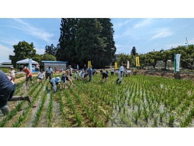 山形の田んぼに暮らす生き物は？　最上川清流の米どころで草取り体験　6月21日（土）22日（日）〔東京〕
