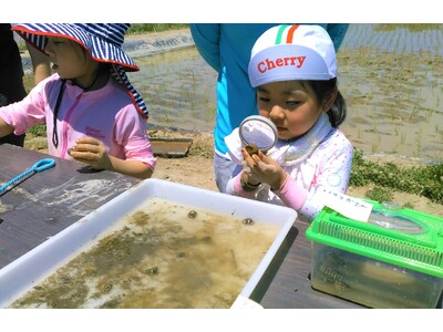 米づくりの“真髄”知ろう 佐久市で草取り体験と生き物観察 6月28日(土)〔東京〕