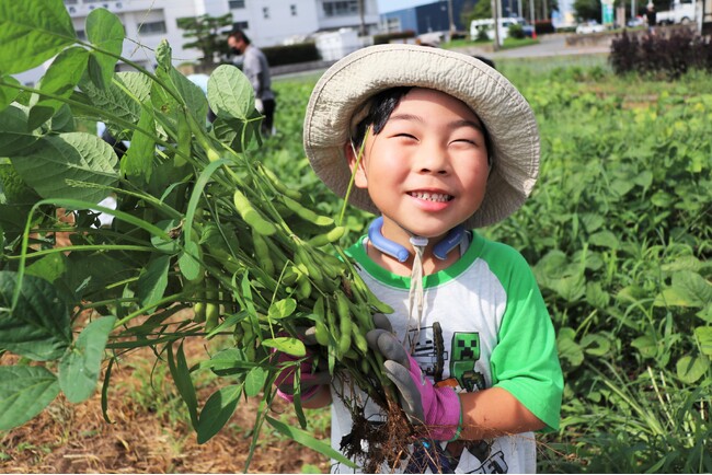 伊勢崎市で夏の農業体験　4月に種まきした枝豆の収穫・試食　7月12日（土）〔群馬〕