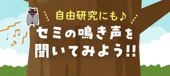 夏休み自由研究に　「セミの鳴き声を聞いてみよう」WEBサイト公開