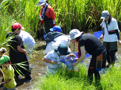 夏休み涸沼で生き物観察　ラムサール湿地で感じる生物多様性　7月26日（土）〔茨城 栃木〕