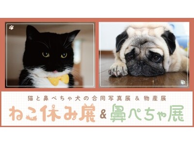 【横浜高島屋】総勢約110人のクリエーターによるキュートな“ねこ＆いぬ” の作品が満載！＜ねこ休み展＆鼻ぺちゃ展＞開催！