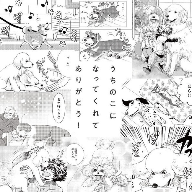 11月1日は犬の日！DOG SIGNAL×犬の日「うちのこ」との時間を大切