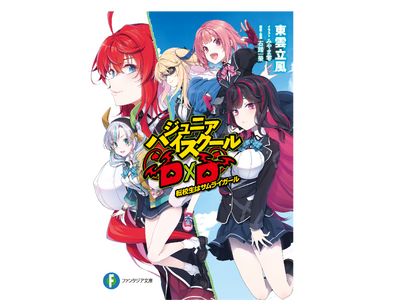 ハイスクールd×d 全25巻 ＋ 関連本15冊　ライトノベル 文庫　小説 ハイスクールd×d 全25巻 ＋ 関連本15冊 ライトノベル 文庫 小説