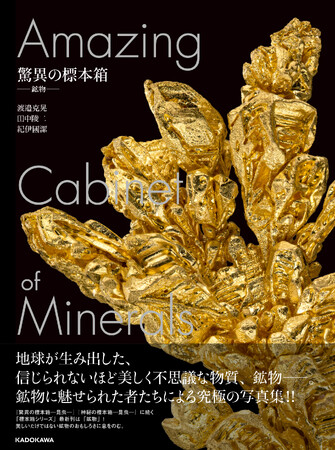プレスリリース「『驚異の標本箱 ー昆虫ー』『神秘の標本箱 ‐昆虫‐』に続く最新刊は「鉱物」。鉱物の超美麗写真集『驚異の標本箱 ‐鉱物‐』2025年3月19日（水）発売！」のイメージ画像