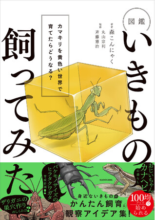 【発売即重版！】大人も子どもも夢中になる、いきもの観察の世界『図鑑いきもの飼ってみた カマキリを黄色い世界で育てたらどうなる？』