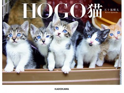 『飛び猫』『フクとマリモ』の五十嵐健太が撮影する、個性あふれる保護猫たちの写真集『HOGO猫』発売！
