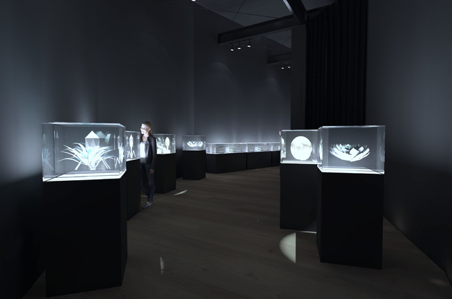 日本初 ワンダーなモノを集めた博物館誕生 荒俣ワンダー秘宝館 角川武蔵野ミュージアム内 メイキング映像 解禁 マピオンニュース