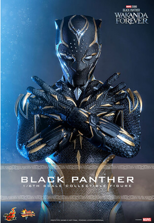 ɌJIwubNpT[^J_EtH[Go[xAgz󂯌phVubNpT[AzbggCYő̉I