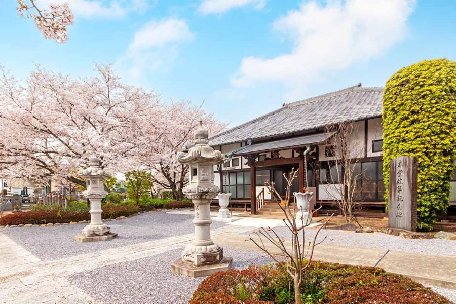 【羽生市】桜につつまれた樹木葬が浄林寺に誕生。10/12より受付開始