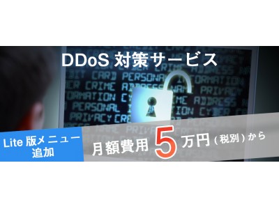 リーズナブルな価格でDDoS攻撃対策を実現　「DDoS対策サービス」Lite版メニューの提供を開始