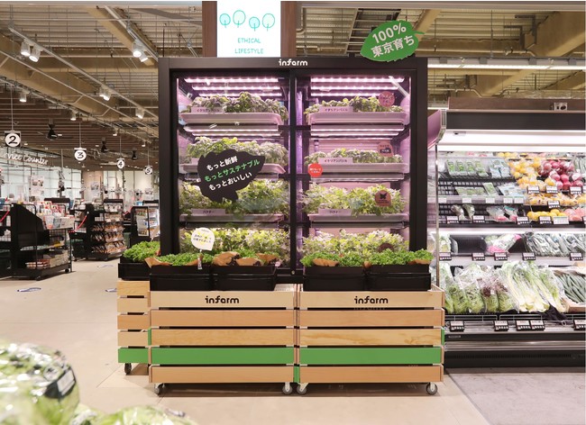 都市型農場野菜「Infarm（インファーム）」新たにサミットストア成城店・野沢龍雲寺店での販売が決定！～イタリアンバジル・わさびルッコラ・パクチーを展開～