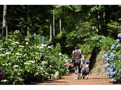 2025夏の東京国立公園エリアで起こる“都会を忘れる、五感の冒険”