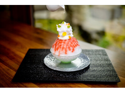 ふわとろ食感で夏を彩る、6種の絶品かき氷「氷菓~白雪~」が茶寮ROKUより新登場!