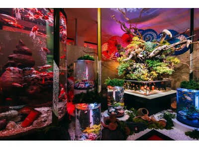 【4/25 OPEN】非日常を持ち帰る。金魚が舞うアート体験空間「沖縄金魚ミュージアム」が、あしびなーに...