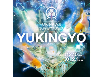 南国沖縄、白い金魚が織りなす雪景色「YUKINGYO」企画展が沖縄金魚ミュージアムで本日より開催！白いツ...