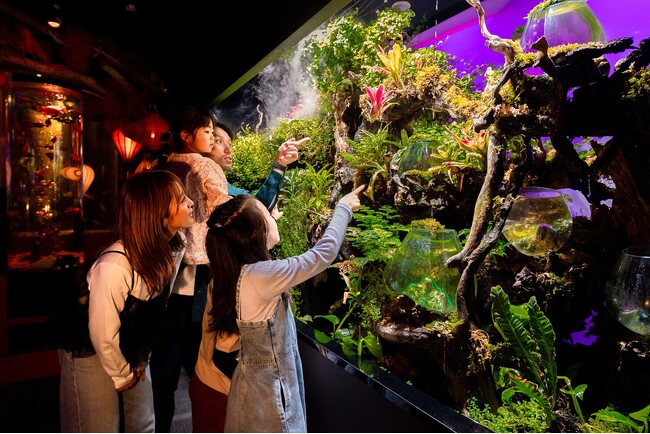 お台場で約4年愛された『UWS AQUARIUM GA☆KYO』2026年8月末をもって閉幕。レインボーブリッジを望む新たな演出が加わり、夜景とアートが溶け合う唯一無二の空間がフィナーレを飾ります。
