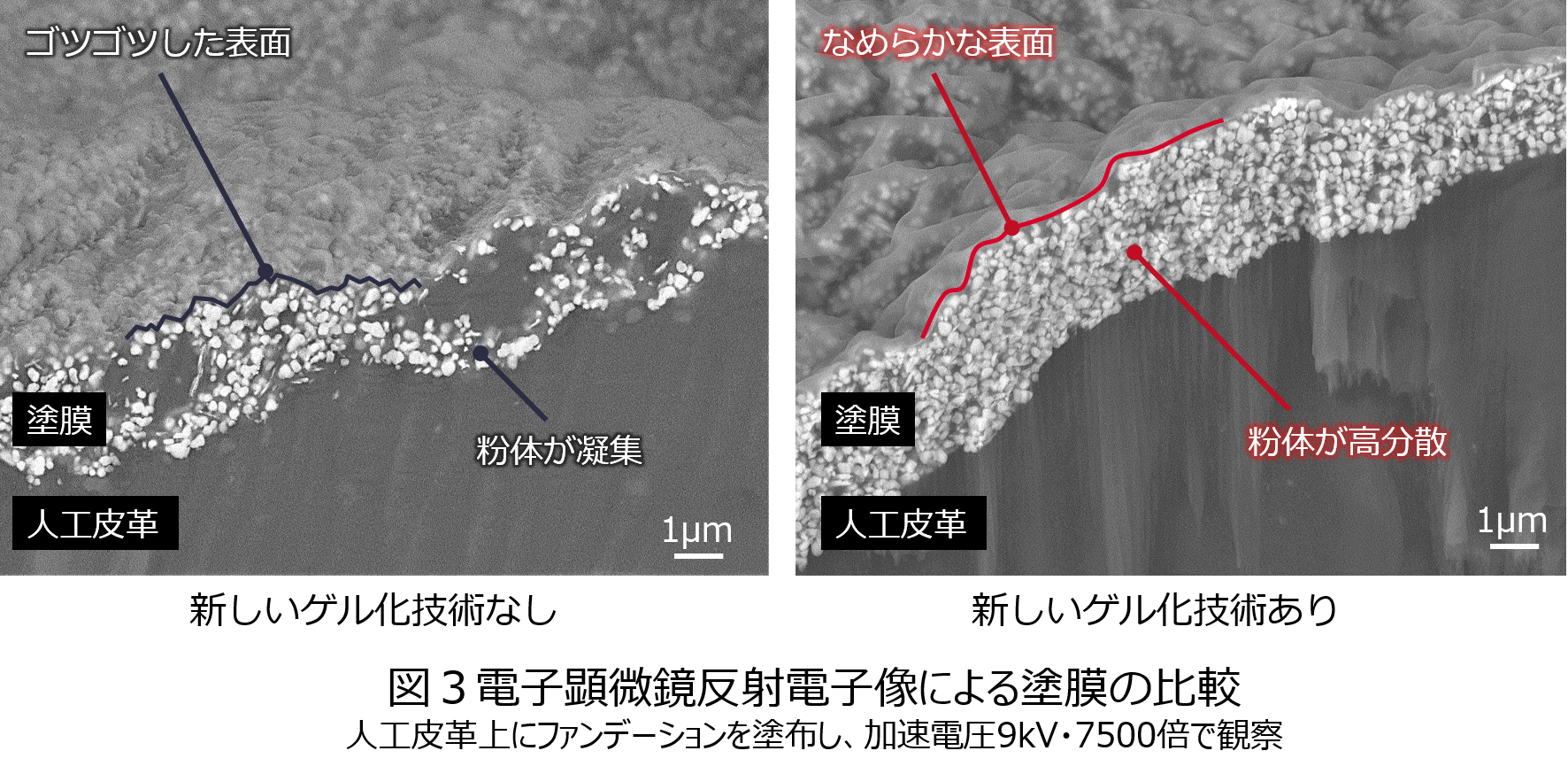 “肌のような自然な美しさ” を叶える新技術　～肌への光の通り方をヒントにした塗膜の開発～