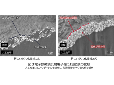 “肌のような自然な美しさ” を叶える新技術　～肌への光の通り方をヒントにした塗膜の開発～