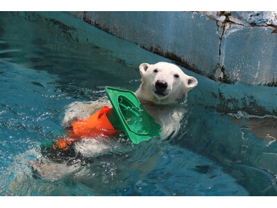 動物とっておき話#110周年SP「ホネからわかるホッキョクグマのひみつ──動物を“かたち”で学ぶ」開催の...