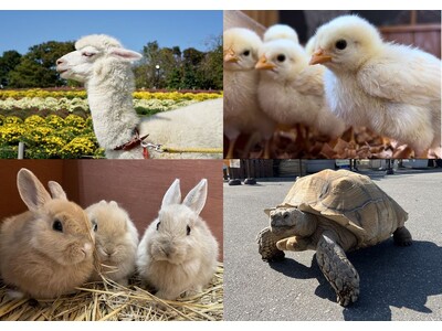 【アトレ亀戸×東武動物公園×ビオレ】アトレ亀戸の屋上にて「ふれあい動物園」を5/5（月・祝）＆5/6（火・振休）に開催！