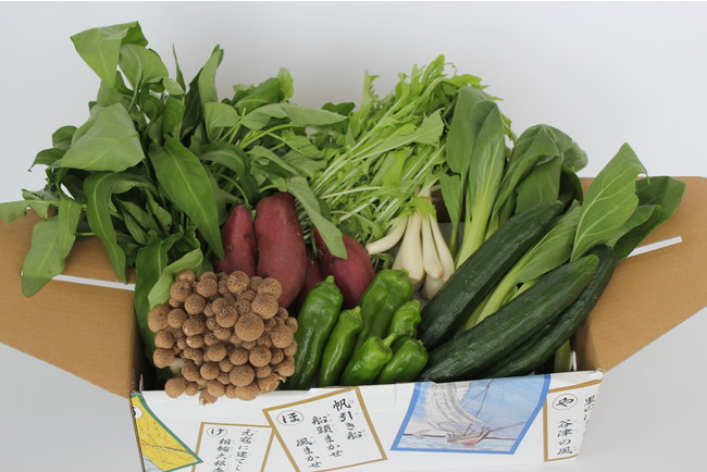 80品目以上の野菜を生産する「野菜王国なめがた」から８月31日（野菜の日）限定で「旬の野菜ボックス」831円の特別価格で販売