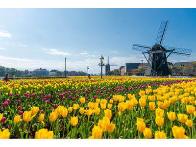 「ハウステンボスでしたいこと」ランキング ～1位は街並み散策？アトラクション？ 阪急交通社が公開～