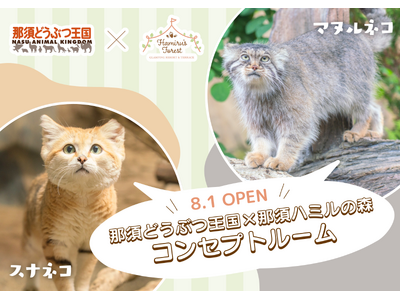 「那須どうぶつ王国×那須ハミルの森」スナネコ＆マヌルネコのコンセプトルームが本日オープン！