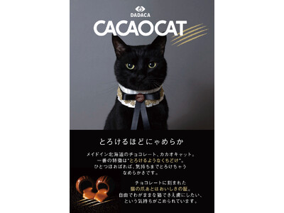 CACAOCAT × 『美少女戦士セーラームーン』 “ 夢のコラボ ” チョコレート缶・BOXがついに誕生！【数量限定】