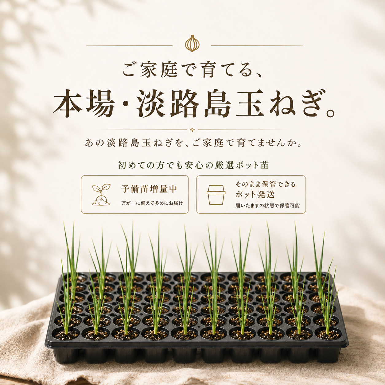 家庭菜園や自家農園で「淡路島玉ねぎ」を育てる贅沢を。玉ねぎ栽培の匠が厳選した3品種の玉ねぎ苗を予約開始！