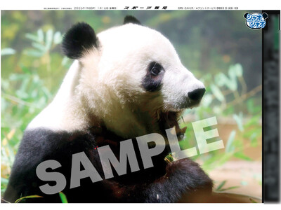 �u�Č��V���I�V���I�@�ӎӃ��C���C�v���ʍ��P��20�������y�X�|�[�c��m�z