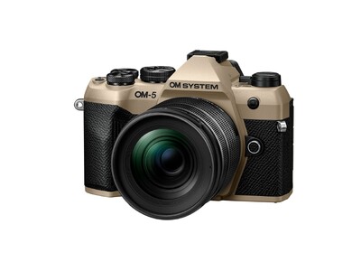 センサー清掃済み【バッテリー2個付】OLYMPUS OM-D E-M10 ボディ